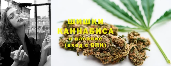 ГАЛЛЮЦИНОГЕННЫЕ ГРИБЫ Баксан
